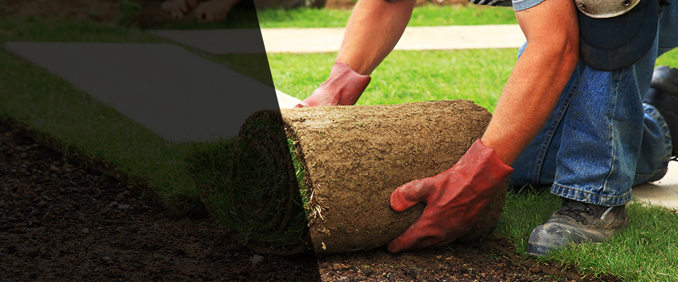 Cudahy Landscapers